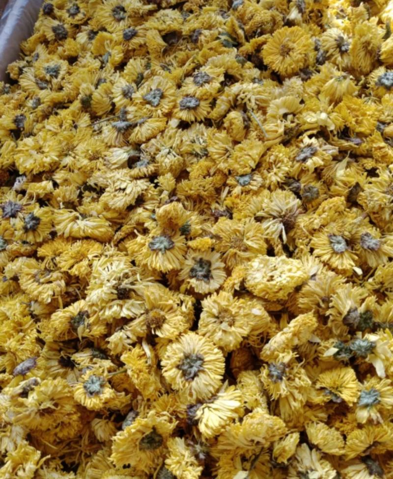 黄菊花统装500g产地安徽振兴药材购销站量大从优