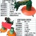 四轮拖拉机带前置双圆盘单盘割草机全自动牧草苜蓿收割机