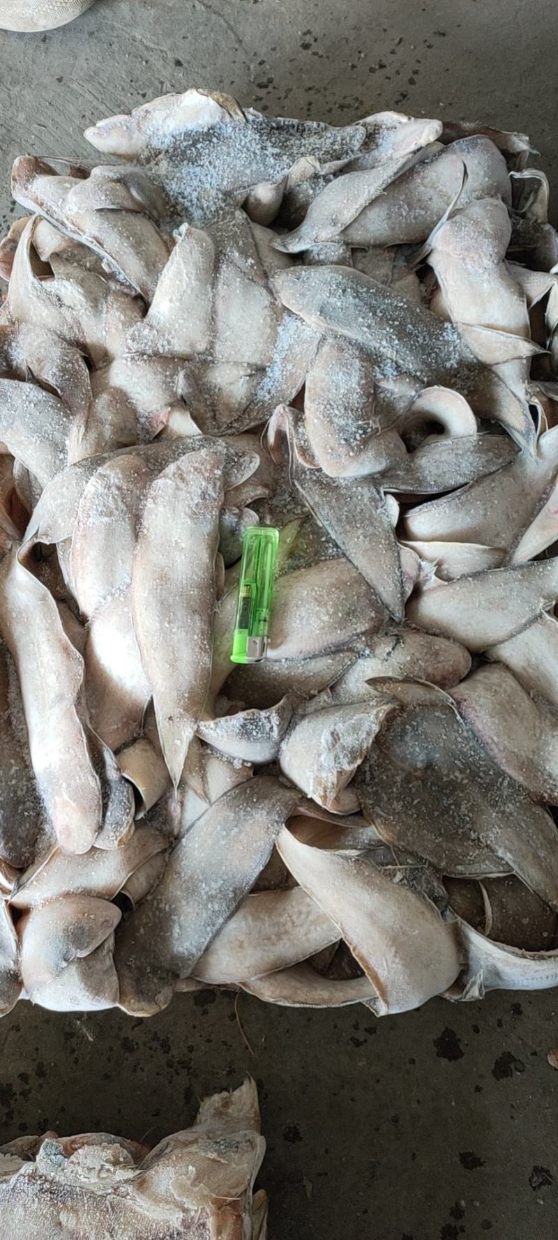 舌头鱼，踏板鱼，鞋垫子鱼，龙利鱼，玉兔鱼