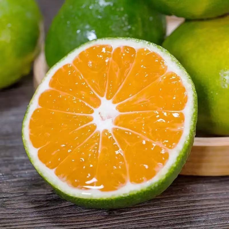 云南蜜桔大量上市了需要的老板个大电商罐头厂欢迎你们联系我