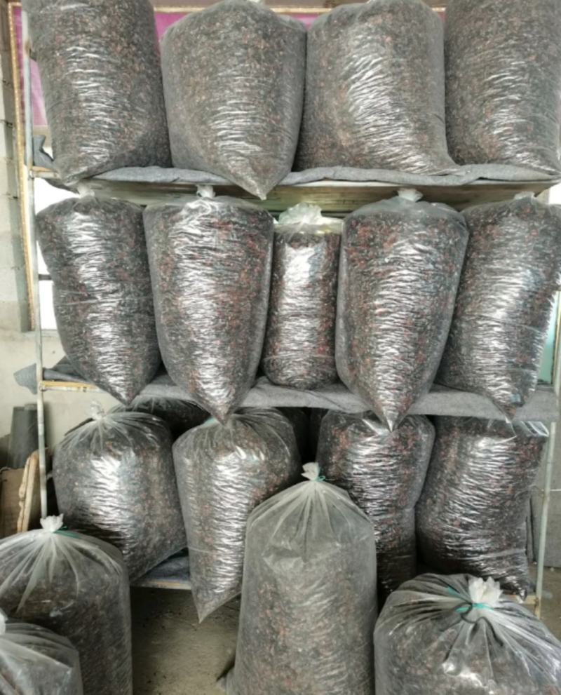 金边土元产地广西振兴药材购销站量大从优