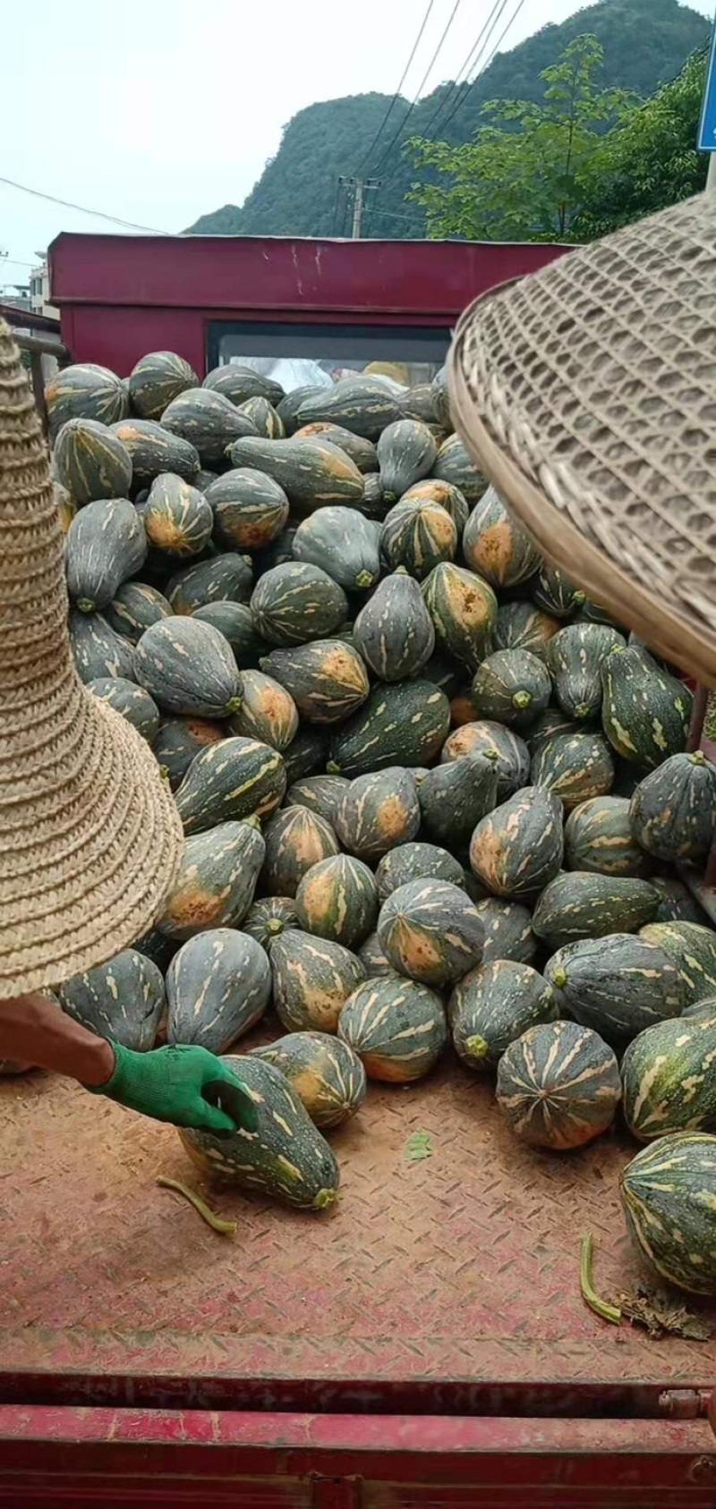 产地直销，香芋南瓜，二到四斤，实力供应，