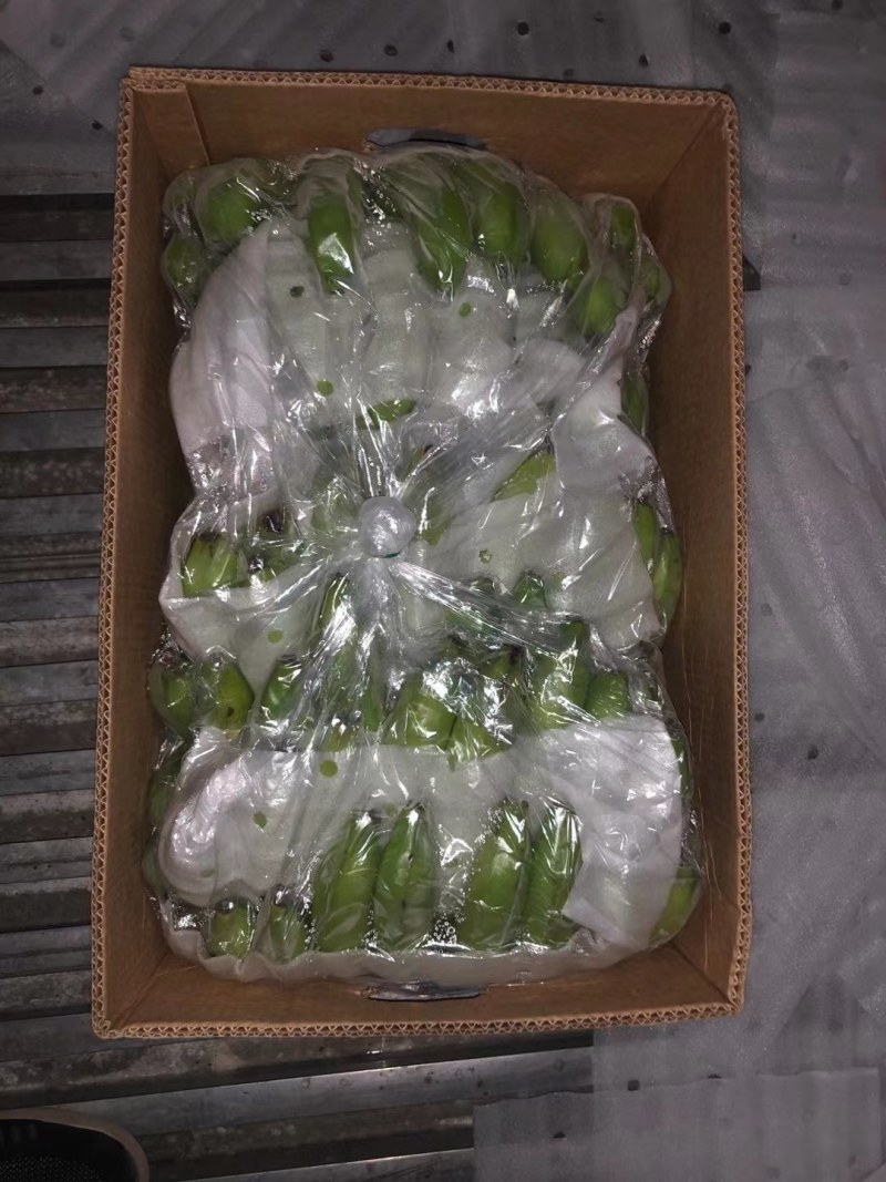 青香蕉