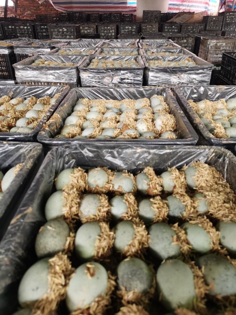 【老式手工松花蛋】产地直发个头匀称价格优惠价格优惠