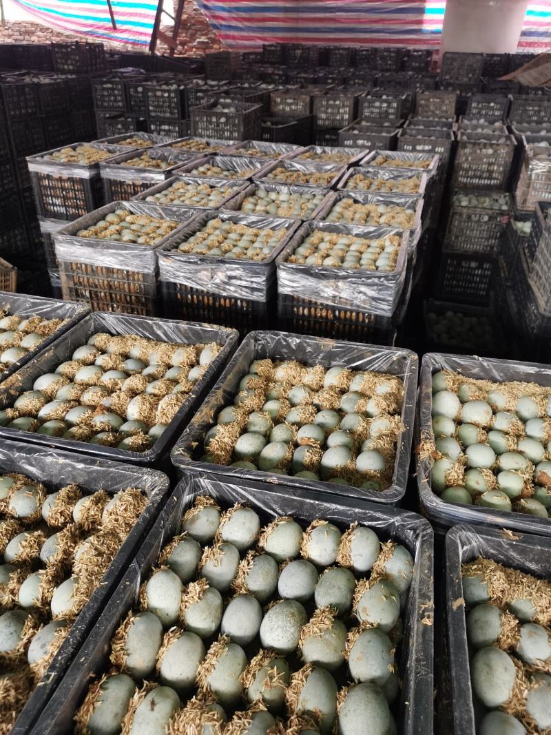 【老式手工松花蛋】产地直发个头匀称价格优惠价格优惠