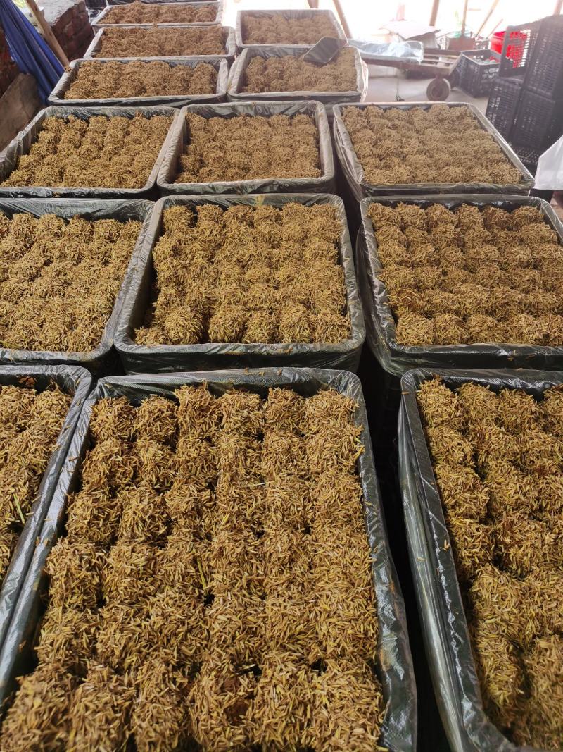 【老式手工松花蛋】产地直发个头匀称价格优惠价格优惠