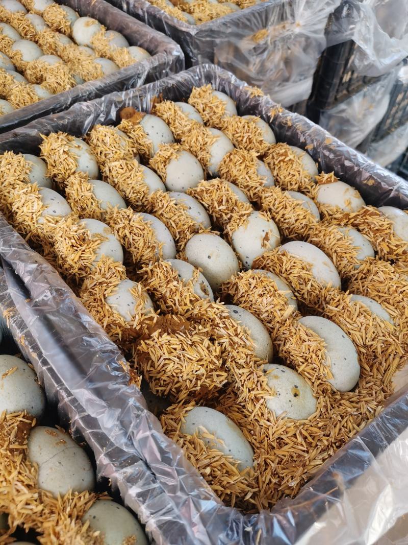 【老式手工松花蛋】产地直发个头匀称价格优惠价格优惠