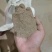 60-100目除尘花生壳粉，可做饲料添加，欢迎到厂参观