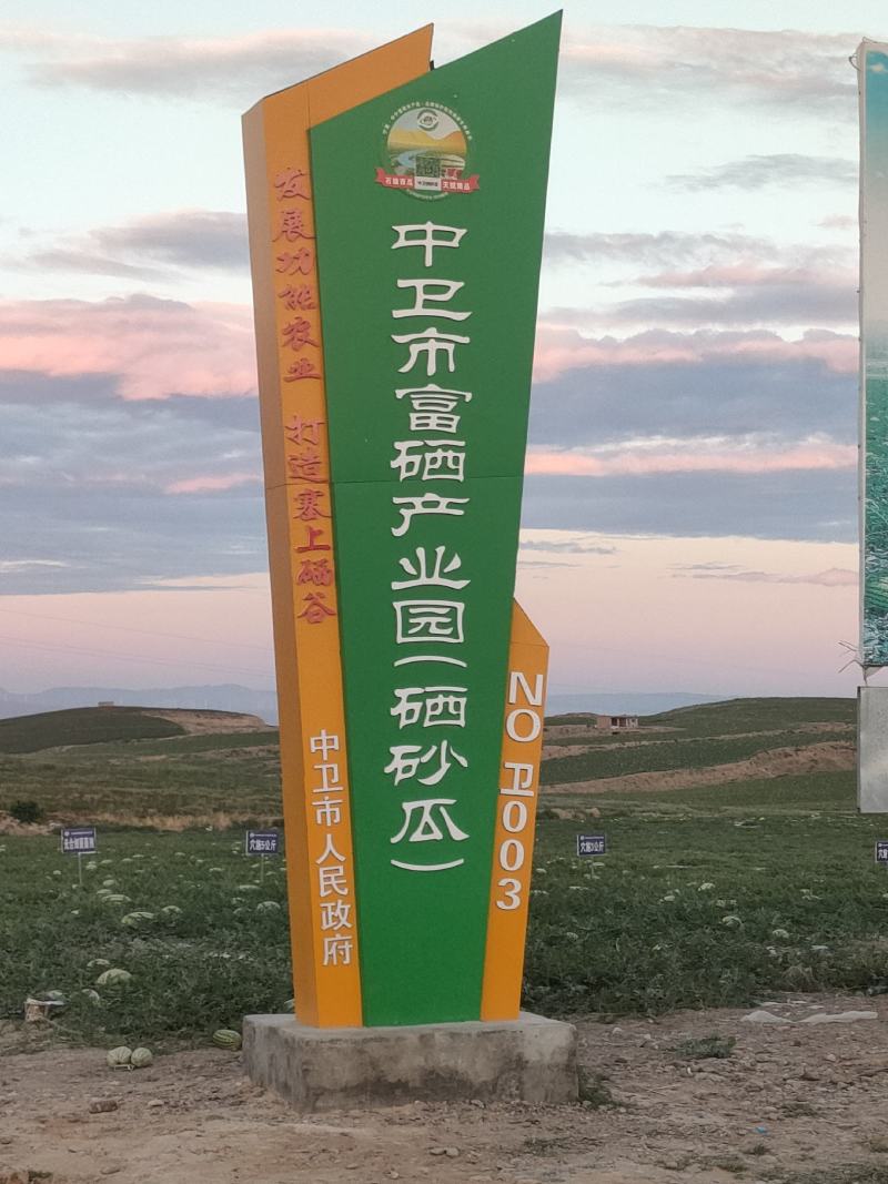 宁夏中卫硒砂瓜，成都每天有货，欢迎各位老板来验货
