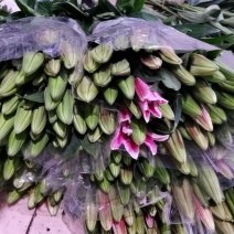 凌源鲜花