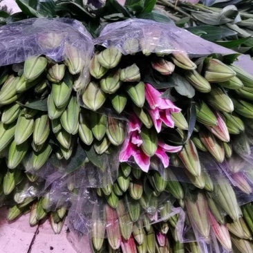 凌源鲜花