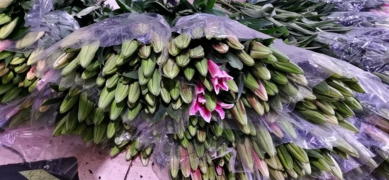 凌源鲜花