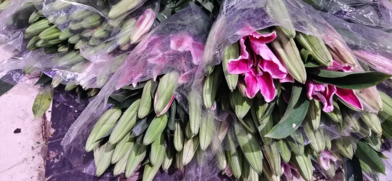 凌源鲜花