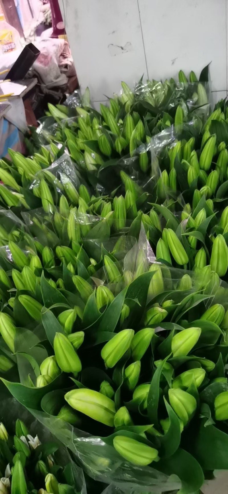 凌源鲜花