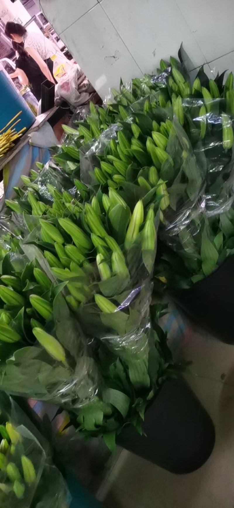 凌源鲜花