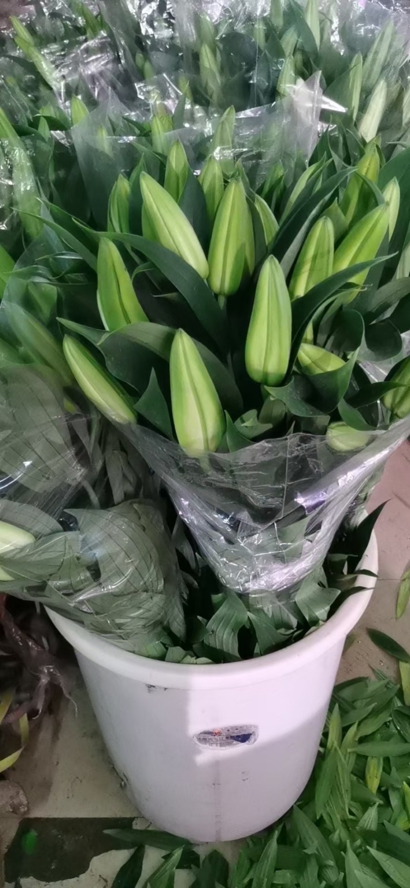 凌源鲜花