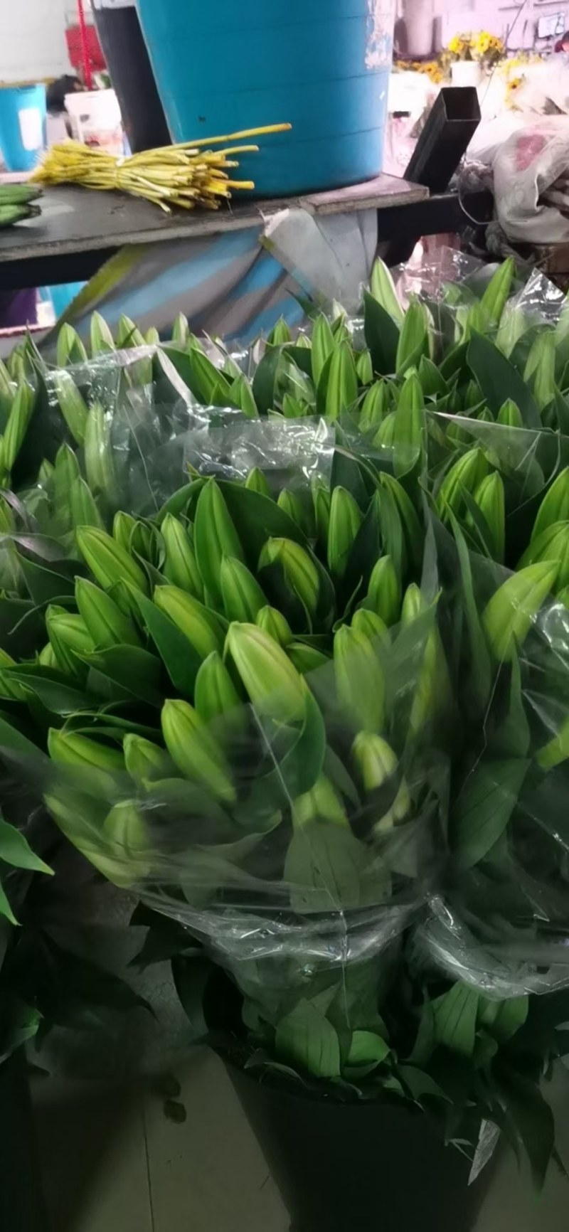 凌源鲜花