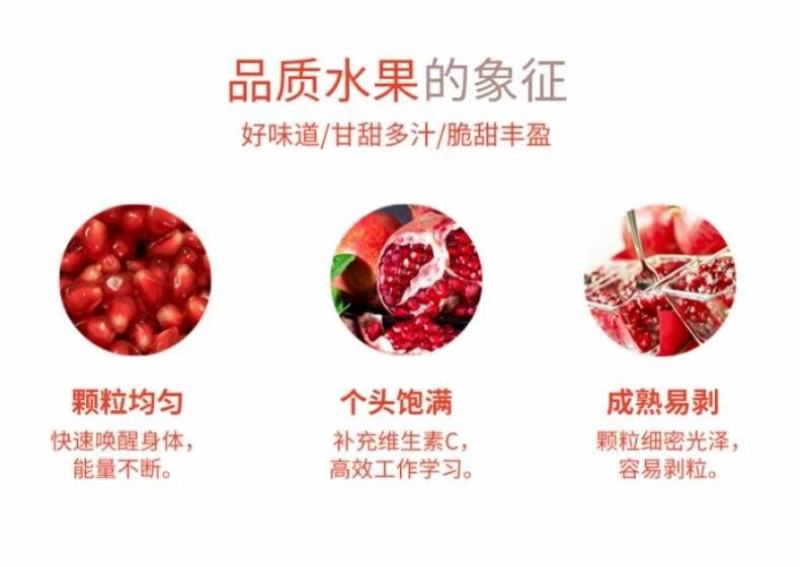 会理软籽石榴