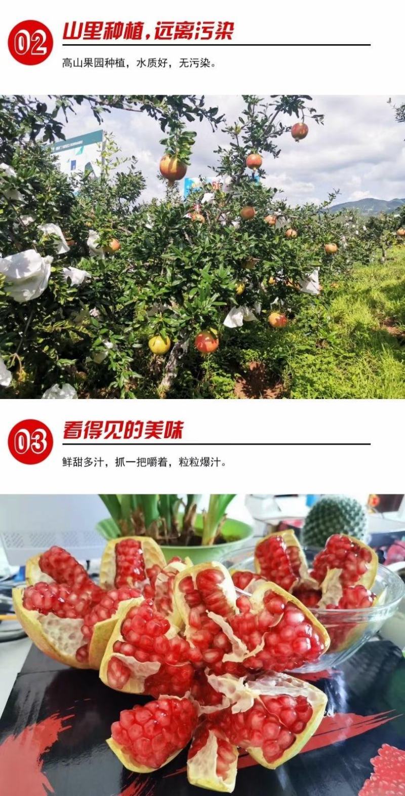会理软籽石榴