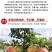 会理软籽石榴