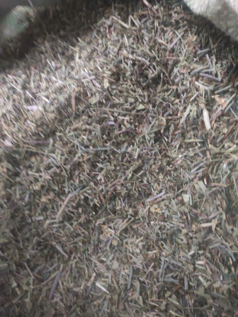半枝莲干货中药材常年经营各种中药材