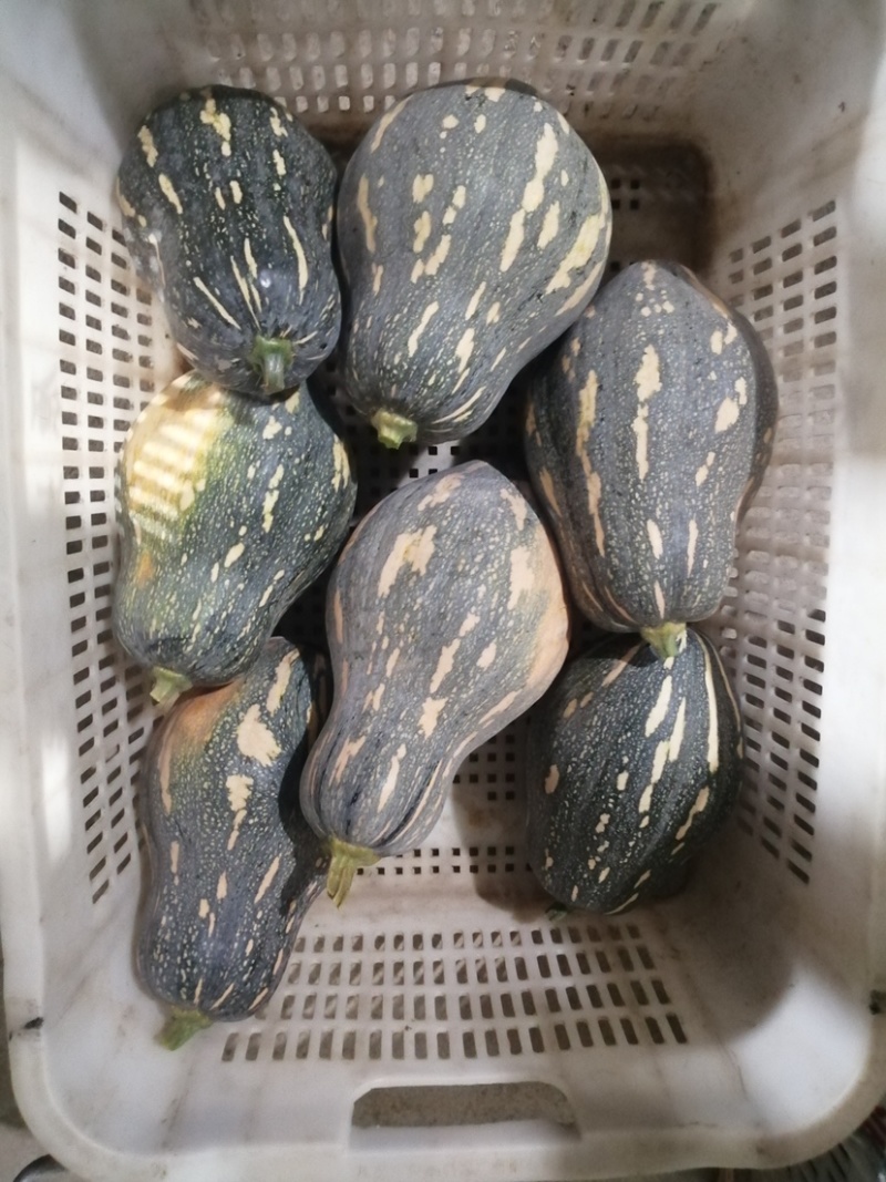 产地直销，香芋南瓜，二到四斤，实力供应，