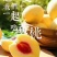 炎陵黄桃