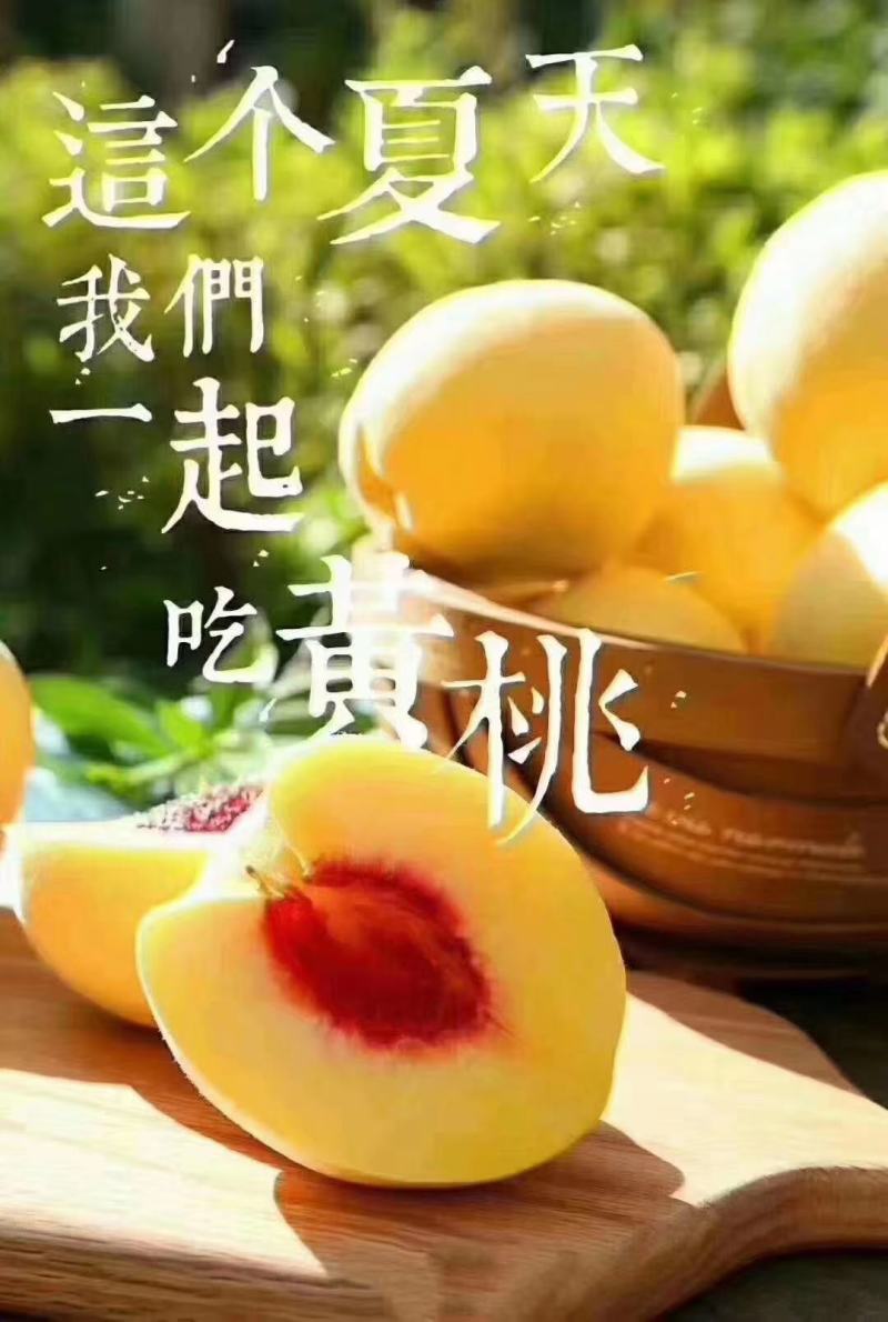 炎陵黄桃