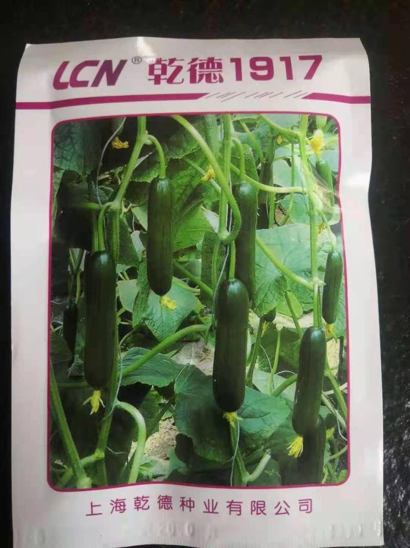 包邮1917水果小黄瓜种子无刺小黄瓜种子乳瓜高产抗病