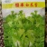 白菜苔种极早白菜苔中晚熟白菜苔高产优质种子