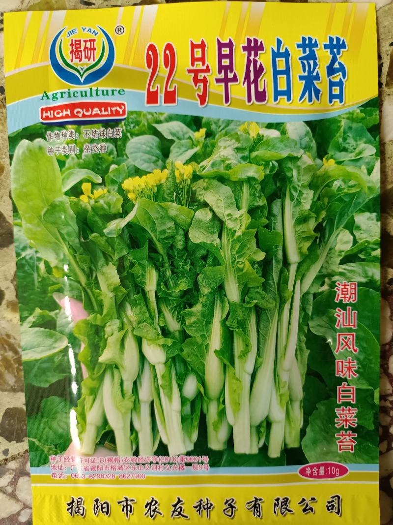 白菜苔种极早白菜苔中晚熟白菜苔高产优质种子