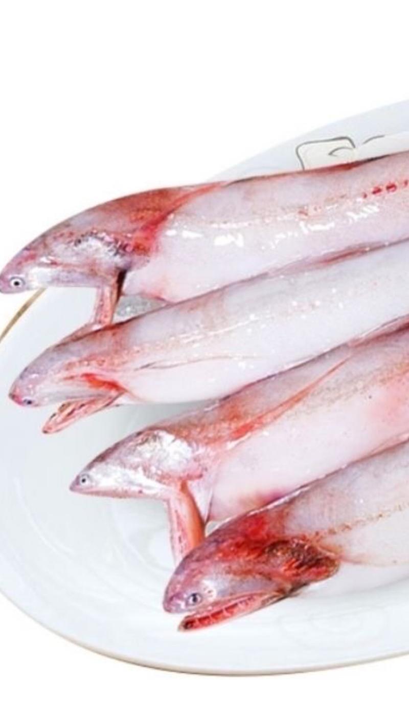 产地直发龙头鱼，棉花鱼，豆腐鱼，龙利鱼，全国发货