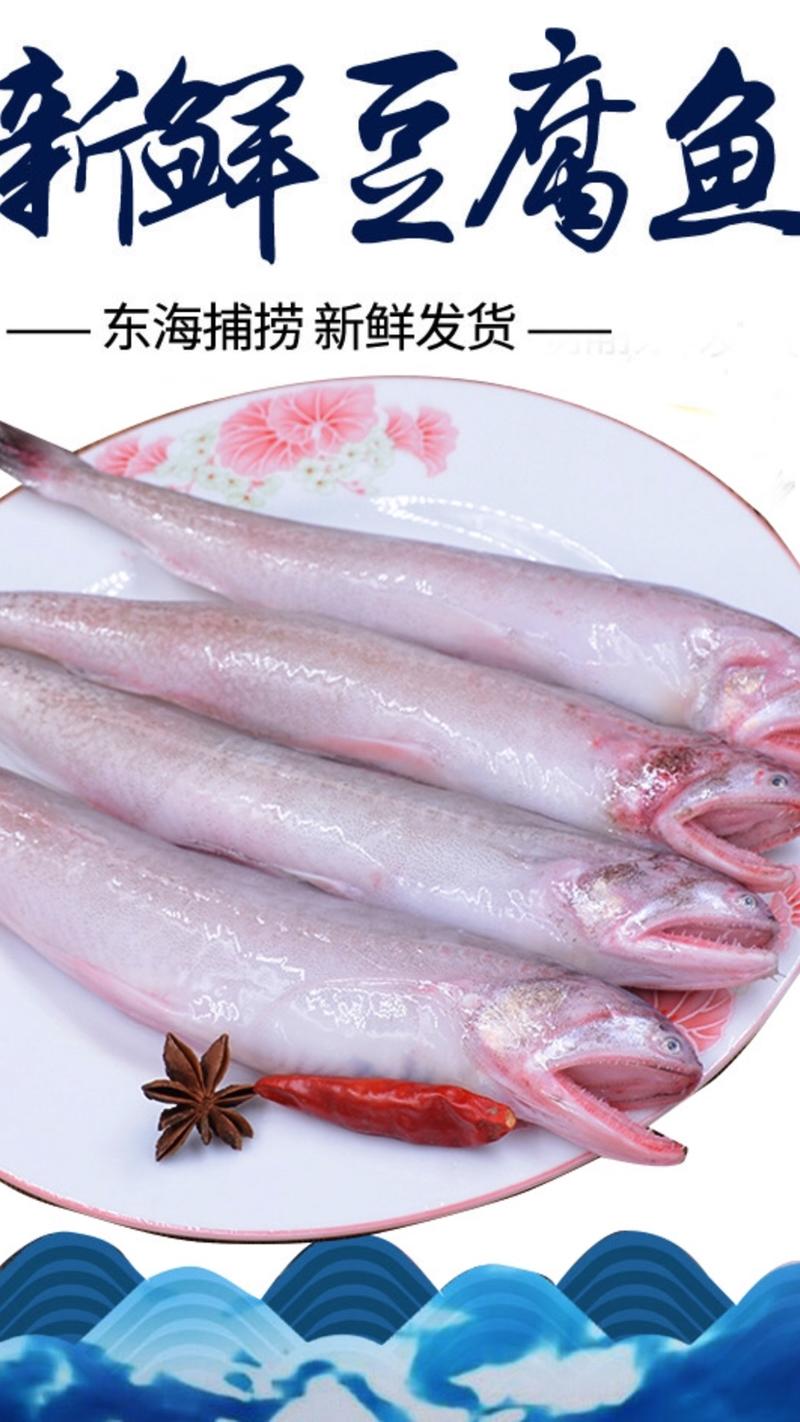 产地直发龙头鱼，棉花鱼，豆腐鱼，龙利鱼，全国发货