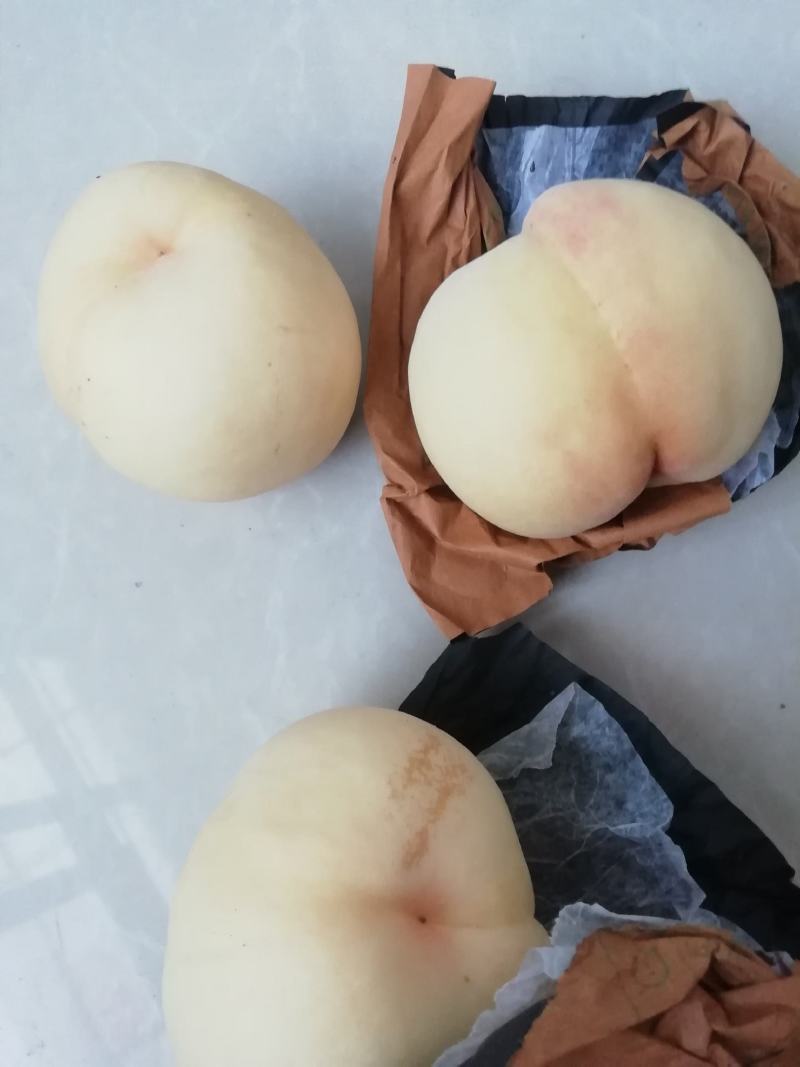 红不软白桃