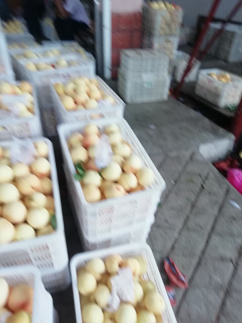 红不软白桃