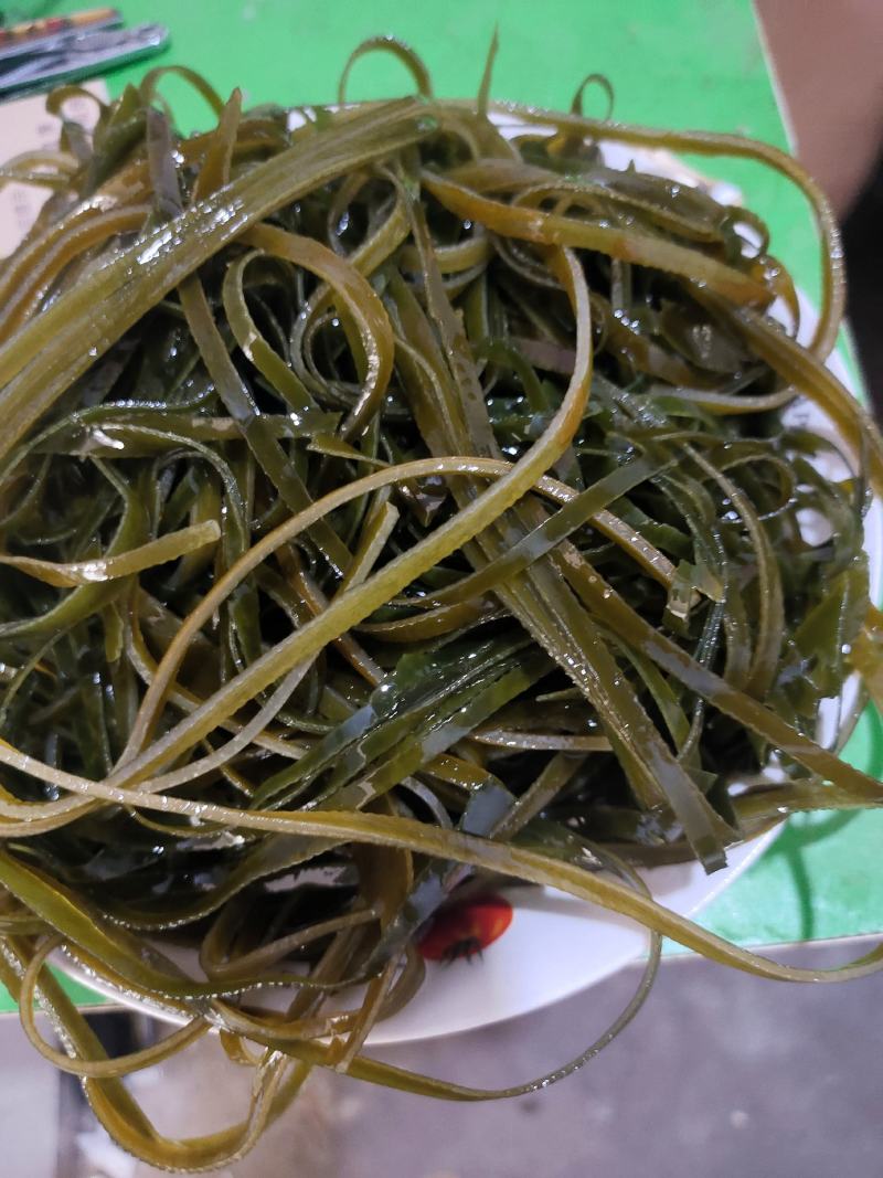 深海淡干海带丝一件十斤，可视频看，1比9泡发率