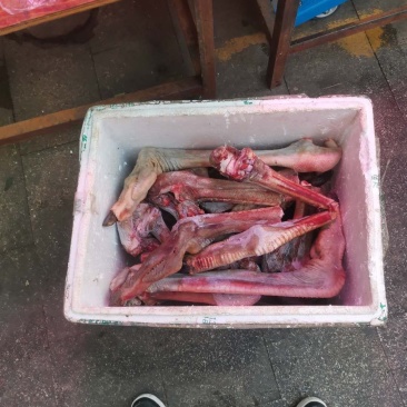 鸵鸟掌，鸵鸟脚
