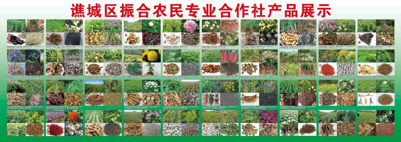 牡丹皮，牡丹根皮，岔口好，黑/红/白都有。