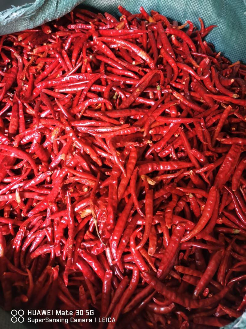 丘北新鲜山地干辣椒，特价优惠，产地直发
