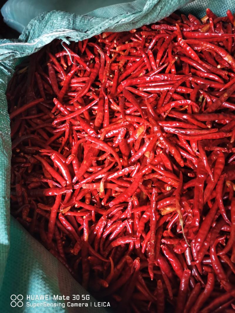 丘北新鲜山地干辣椒，特价优惠，产地直发