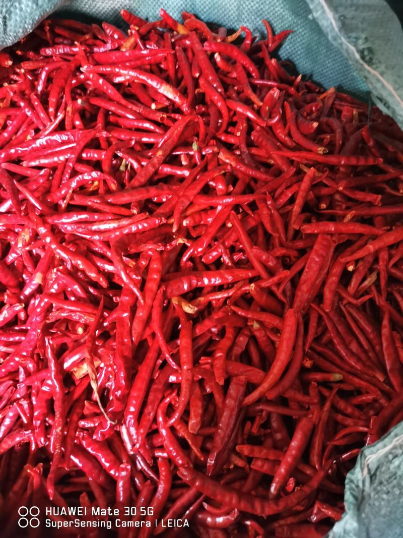 丘北新鲜山地干辣椒，特价优惠，产地直发