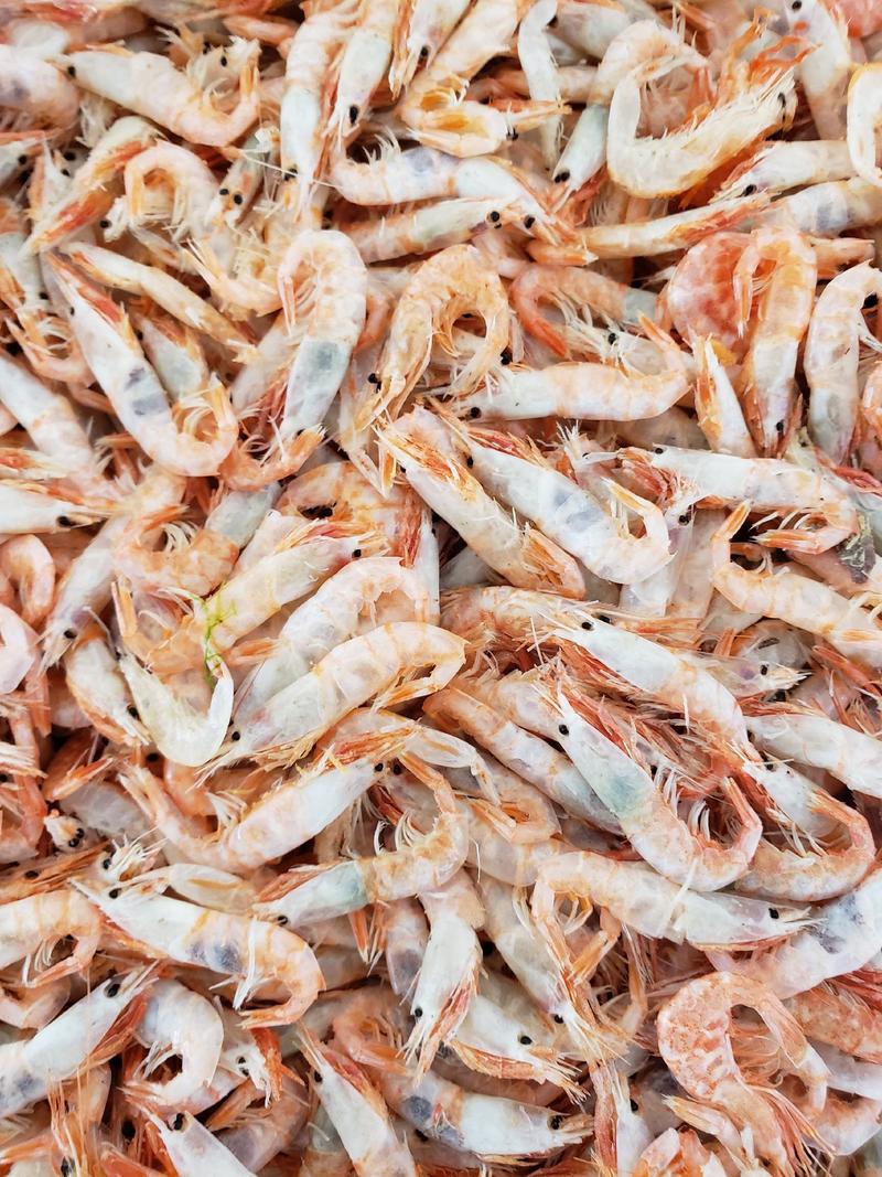 【虾皮】干麦秆虾，干度好盐分低对接全国商超欢迎咨询