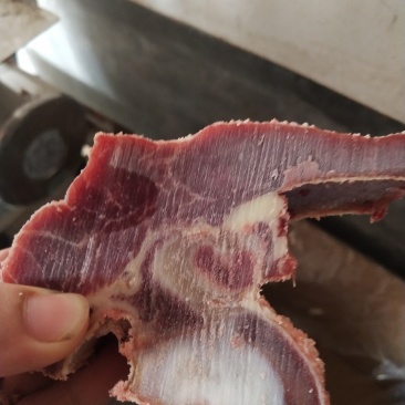 多肉牛脊骨，价格实惠，厂家直销一手货源，