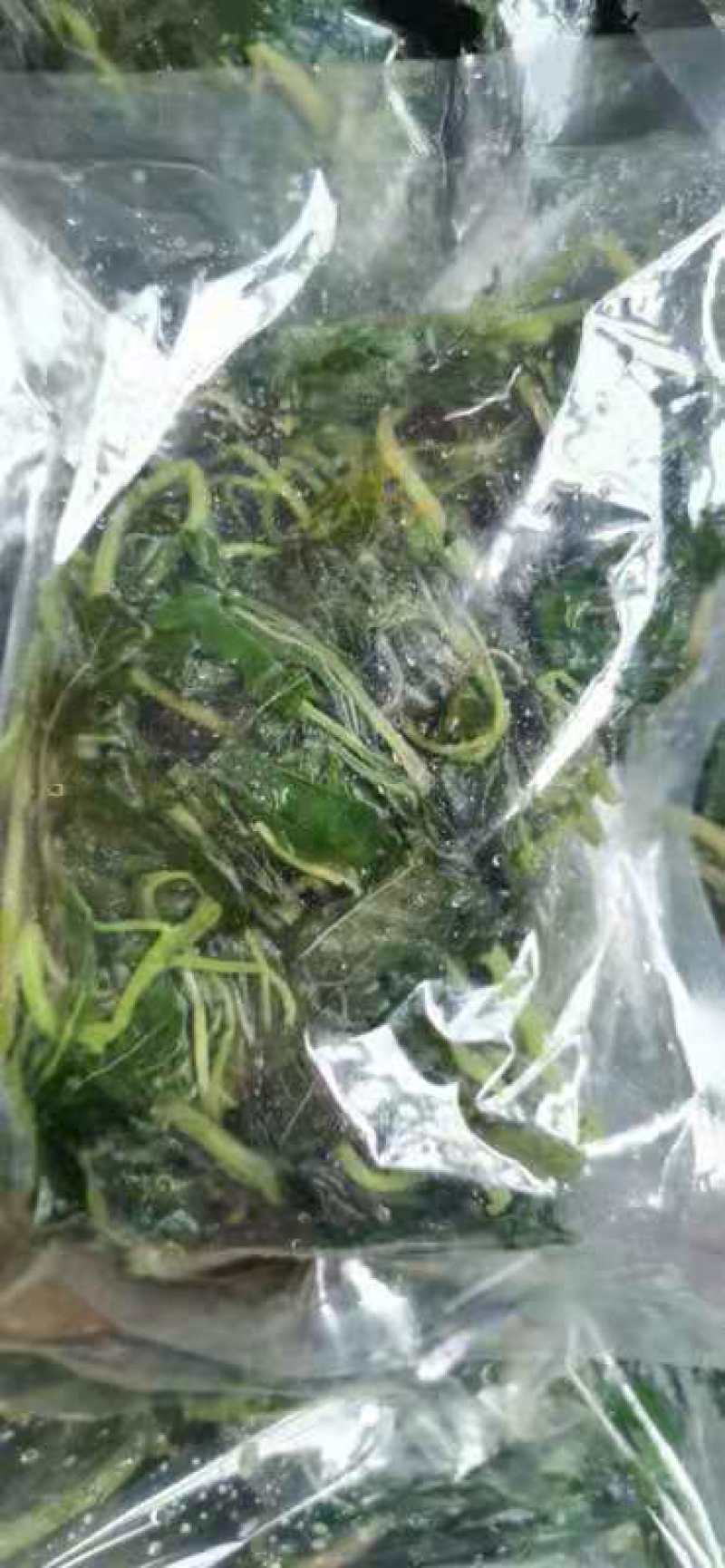 新鲜野苋菜银银菜绿苋菜野生人汉菜冻品