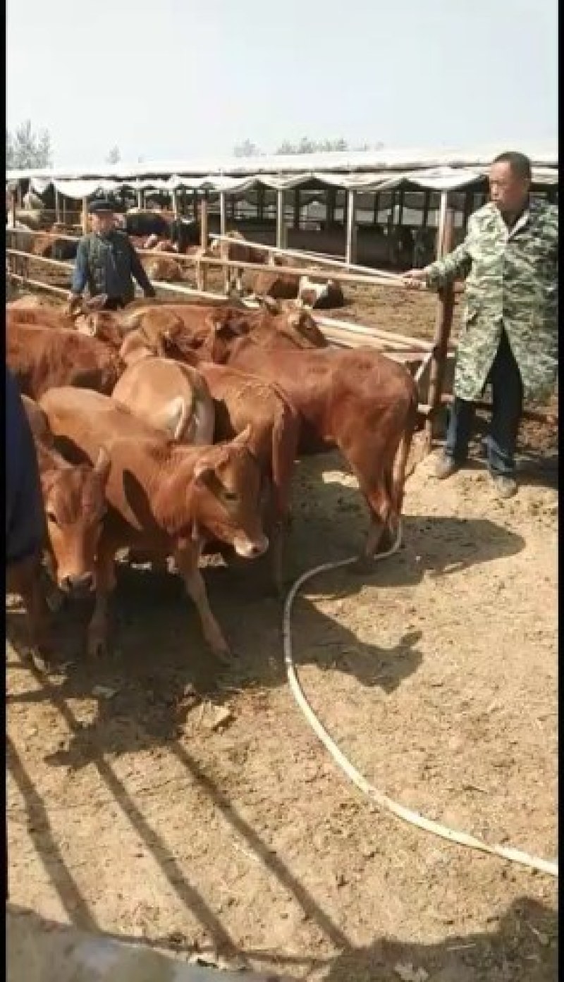个体养殖场，都是自养自销