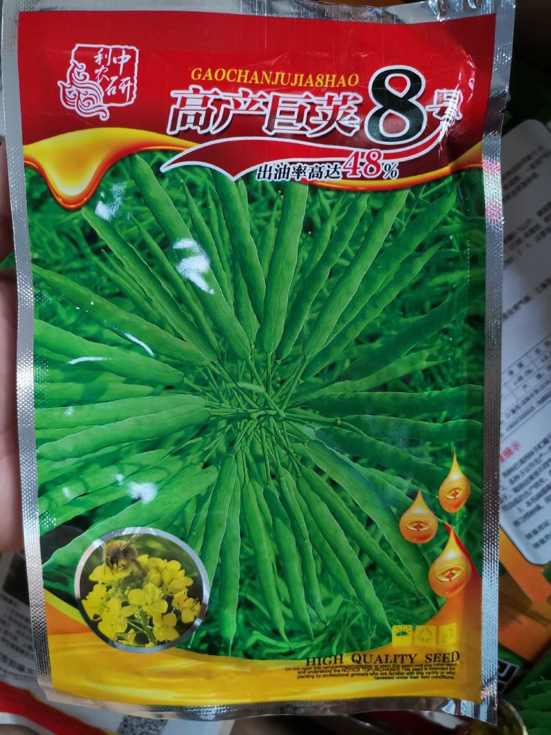 杂交黄籽高产油菜种子产量高抗性好越冬油菜种子