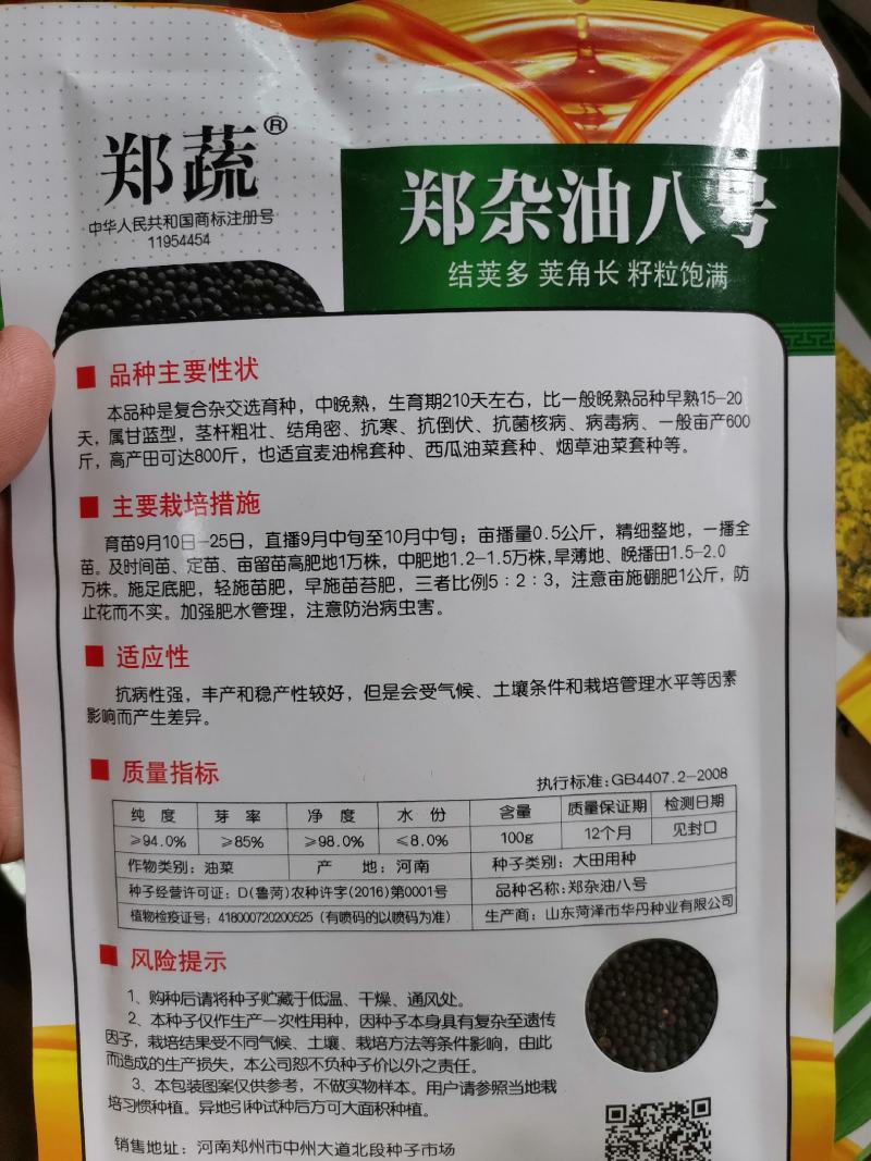 杂交黄籽高产油菜种子产量高抗性好越冬油菜种子