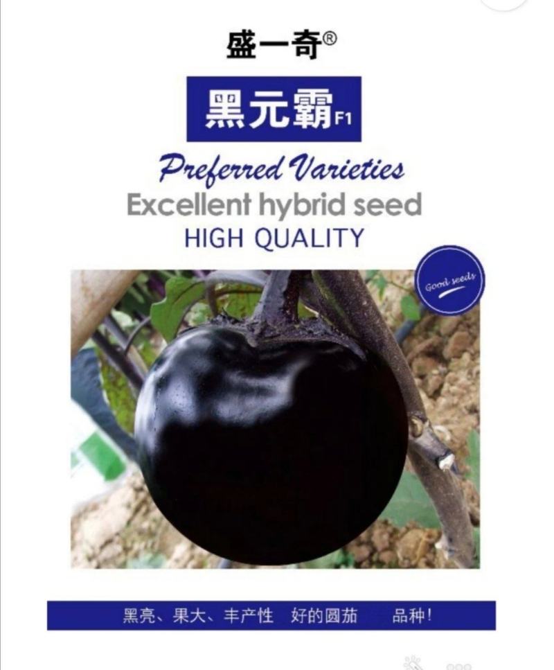 盛一奇黑元霸早熟黑亮圆茄子丰产果大茄子种子