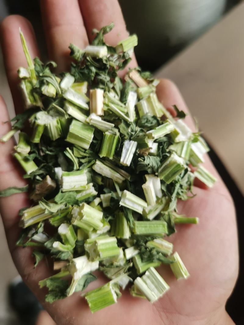 益母草