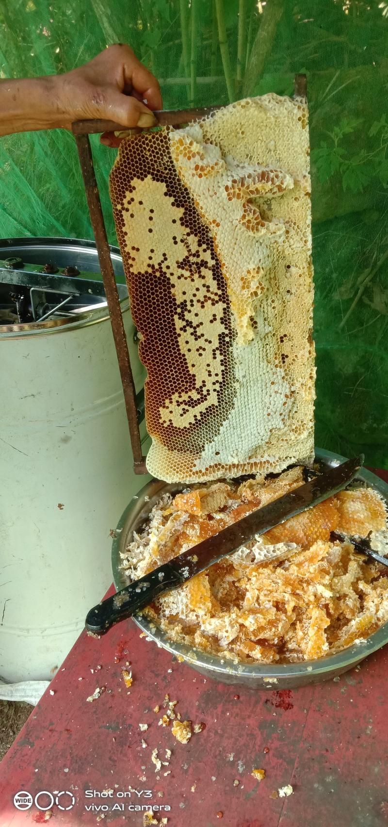 大出里自家蜂场产的无添加，原汁原味优质百花土蜂蜜